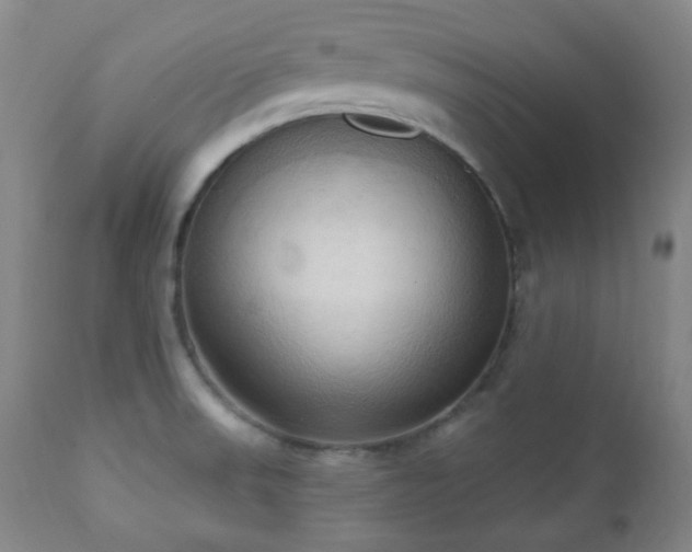 X0000111021523200906191640
