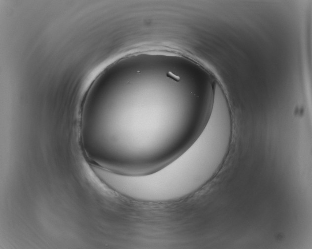 X0000111021524200906191640