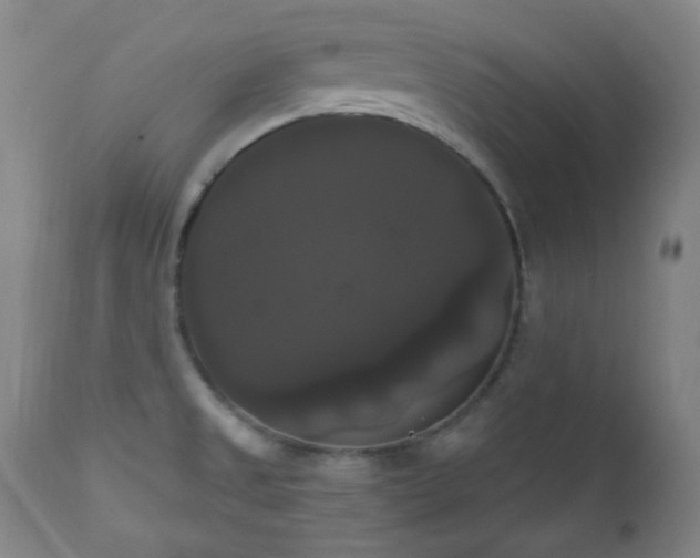 X0000111021525200906191640