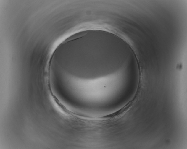 X0000111021528200906191640