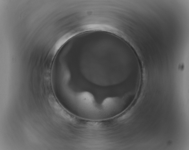 X0000111021529200906191640