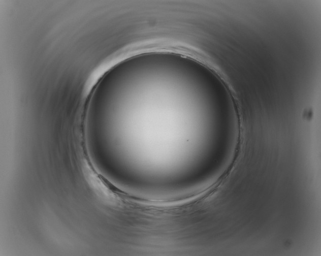 X0000111021530200906191640
