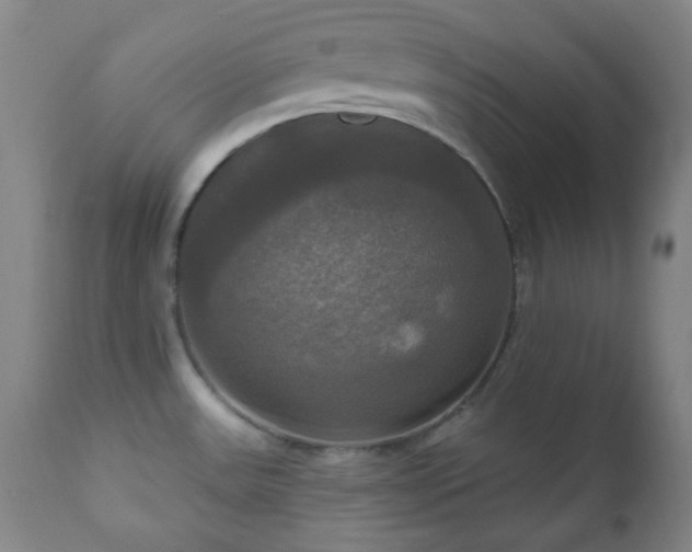 X0000111021531200906191640