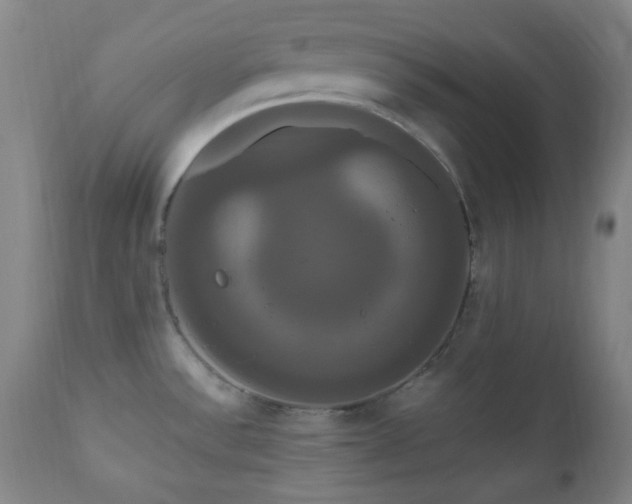 X0000111021532200906191640