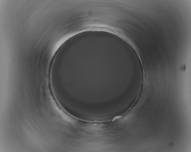 X0000111021533200906191640