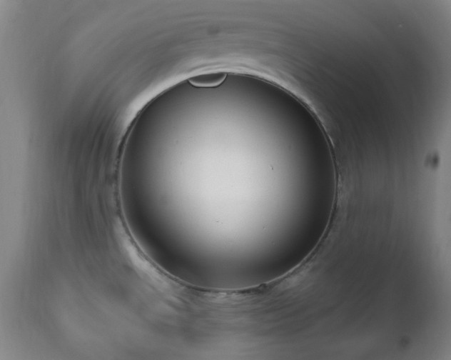 X0000111021534200906191640