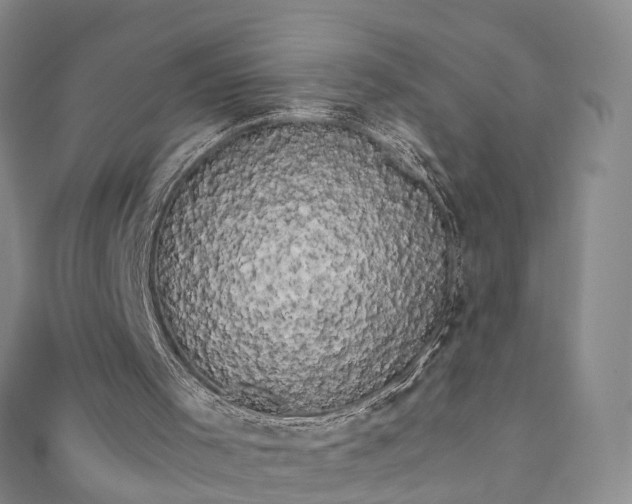 X0000111020001200906261550