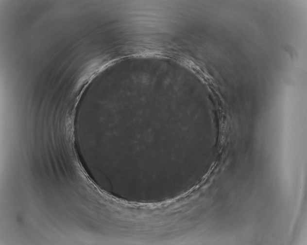X0000111020002200906261550