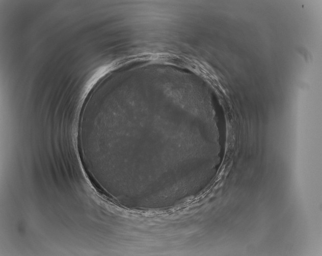 X0000111020003200906261550
