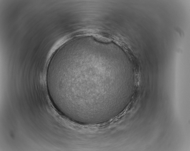 X0000111020004200906261550