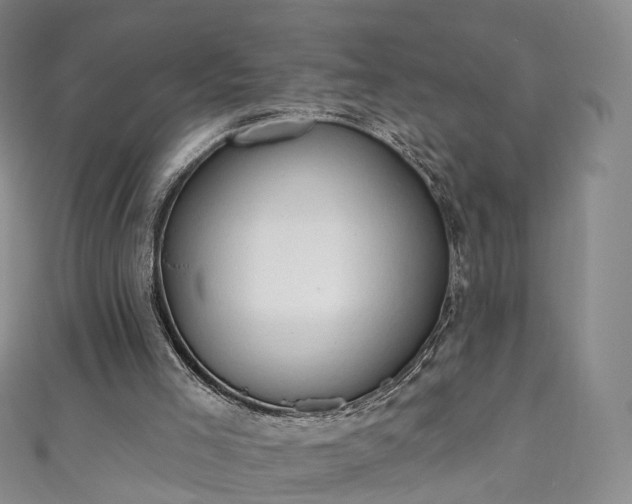 X0000111020005200906261550