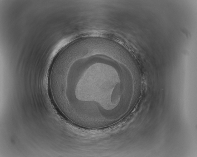 X0000111020006200906261550