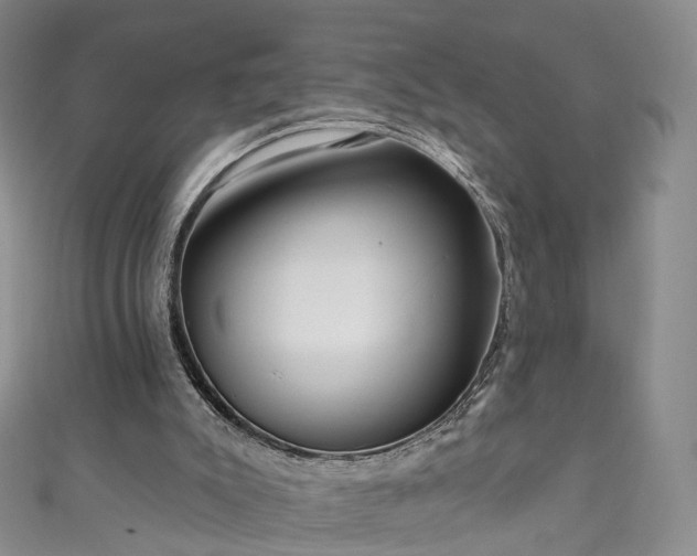 X0000111020007200906261550