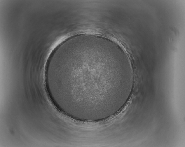 X0000111020008200906261550
