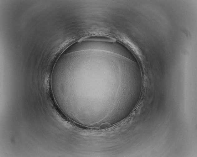 X0000111020009200906261550