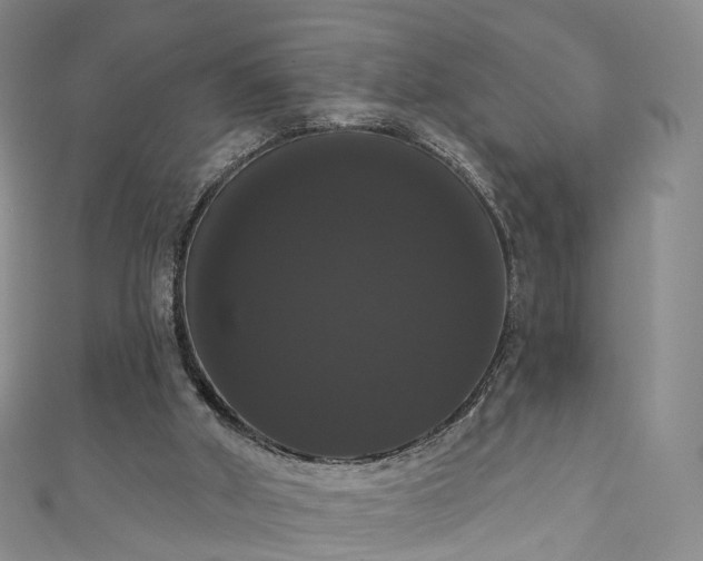 X0000111020010200906261550