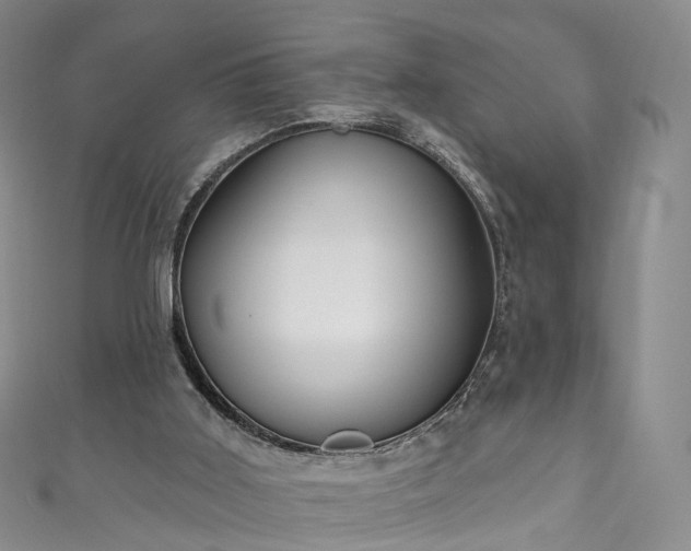 X0000111020011200906261550