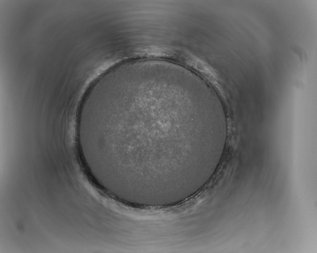 X0000111020012200906261550