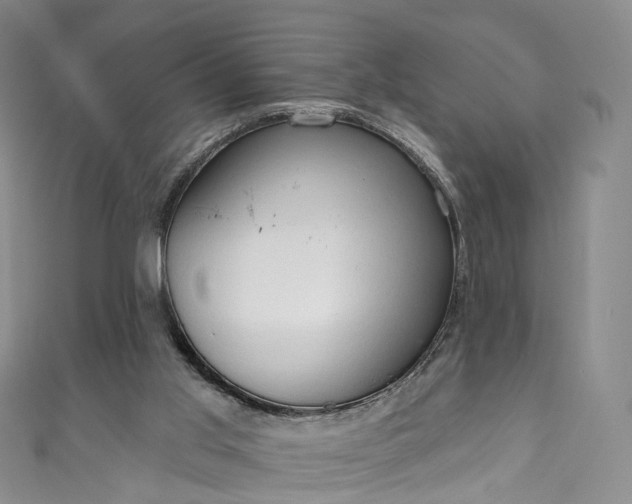 X0000111020013200906261550