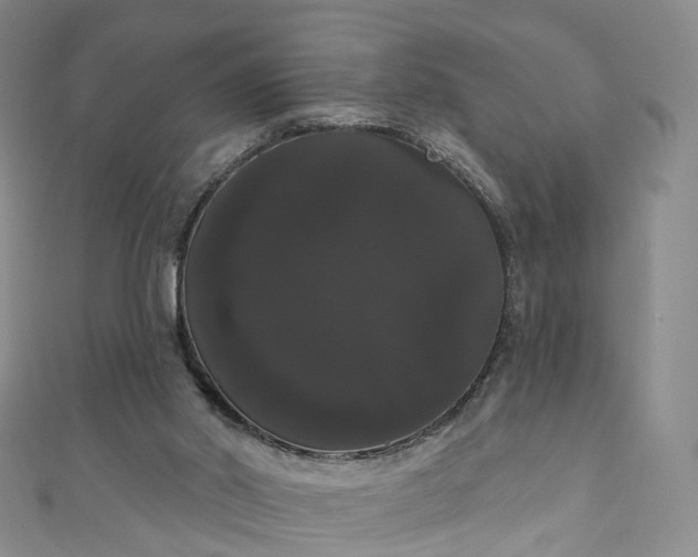 X0000111020014200906261550