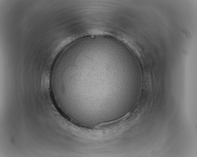 X0000111020015200906261550
