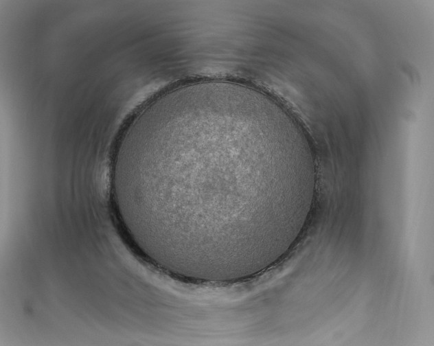 X0000111020016200906261550