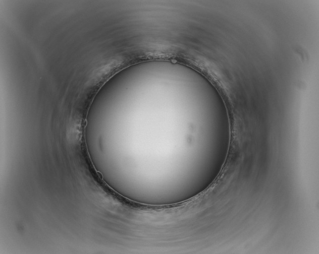 X0000111020017200906261550