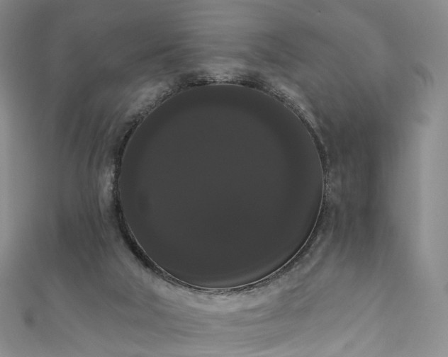 X0000111020018200906261550