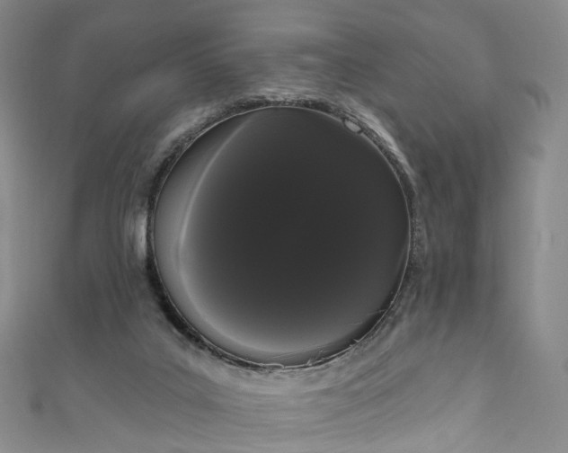 X0000111020019200906261550
