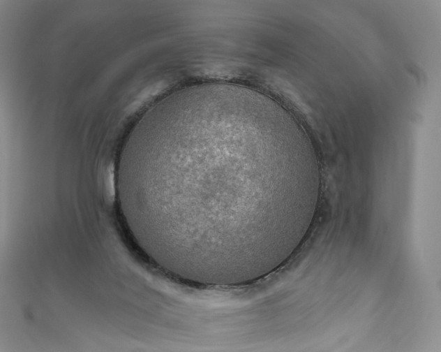 X0000111020020200906261550