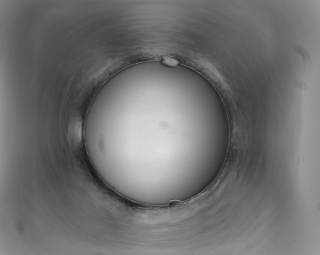 X0000111020021200906261550