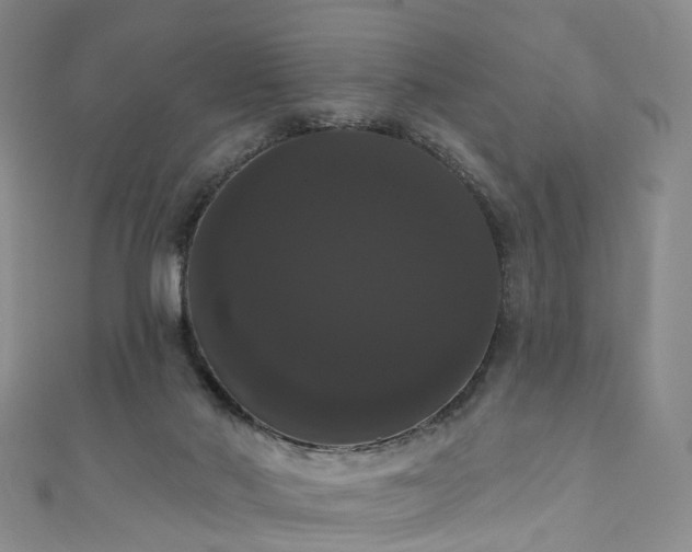 X0000111020022200906261550