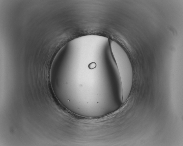 X0000111020025200906261550