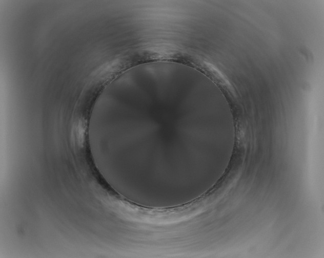 X0000111020026200906261550