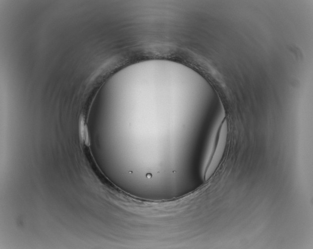 X0000111020027200906261550