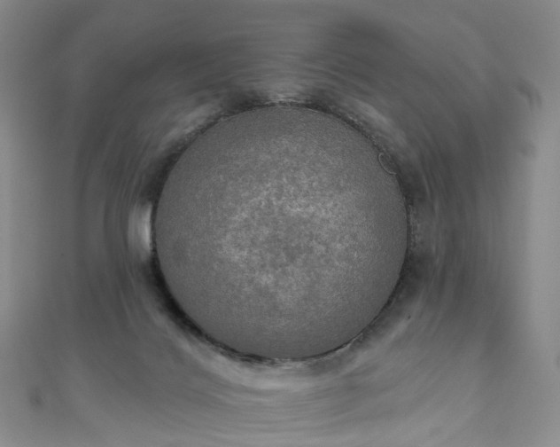 X0000111020028200906261550