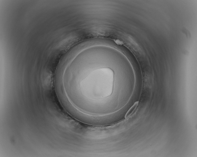 X0000111020029200906261550