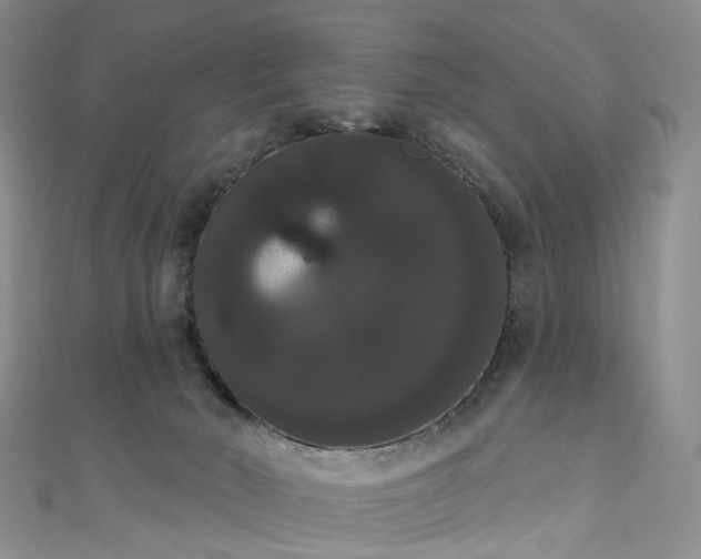X0000111020030200906261550