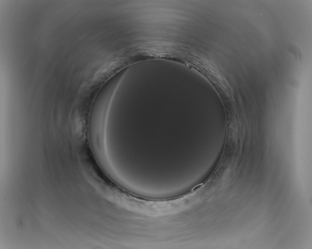 X0000111020031200906261550