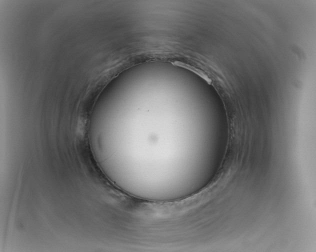 X0000111020033200906261550