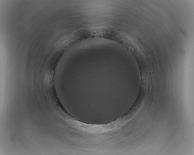 X0000111020034200906261550