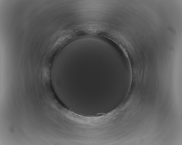 X0000111020035200906261550