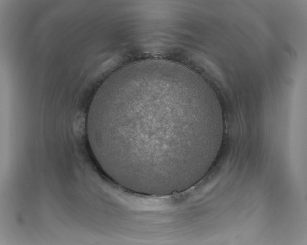 X0000111020036200906261550