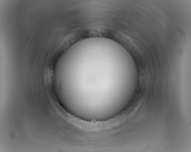 X0000111020038200906261550