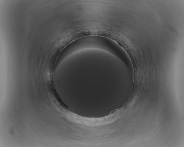 X0000111020039200906261550