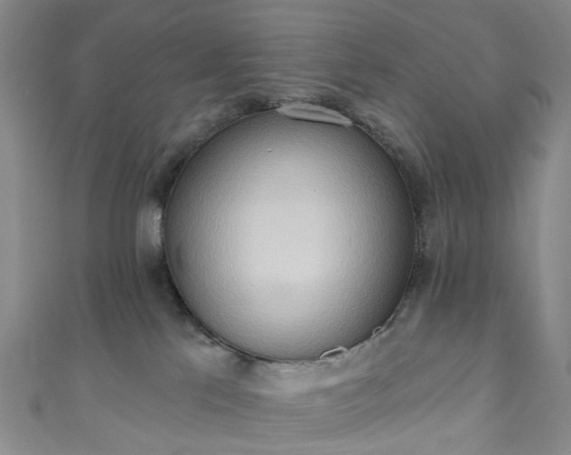 X0000111020041200906261550