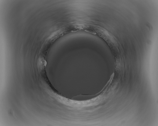 X0000111020043200906261550