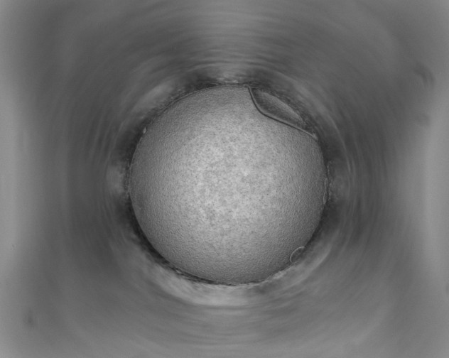 X0000111020044200906261550