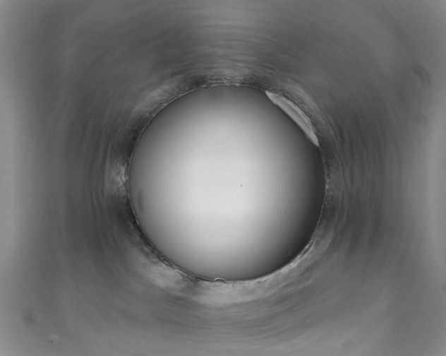 X0000111020045200906261550