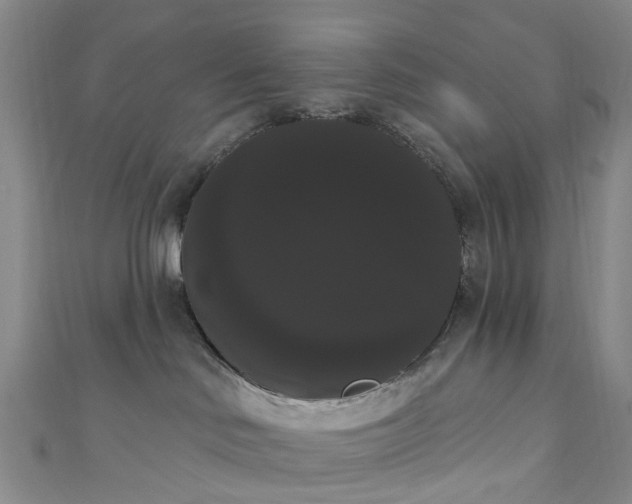 X0000111020046200906261550